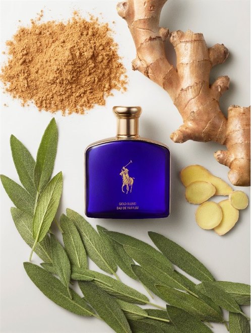 The Ralph Lauren Polo Blue Gold Blend EDT is now available at The Fragrance Shop!